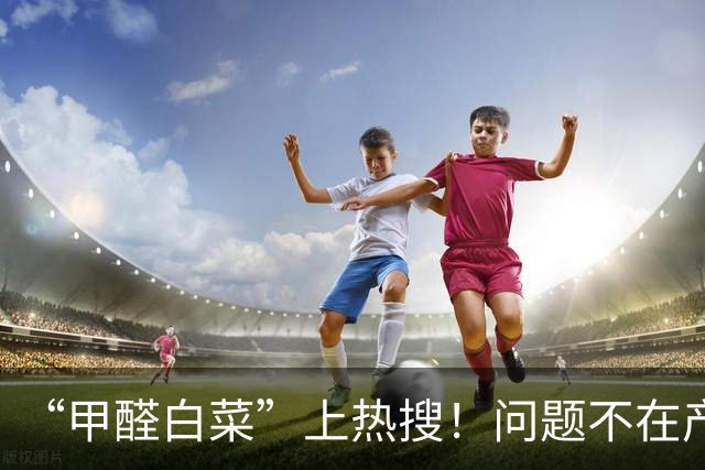 “甲醛白菜”上热搜！问题不在产地，而在中间商的账本里